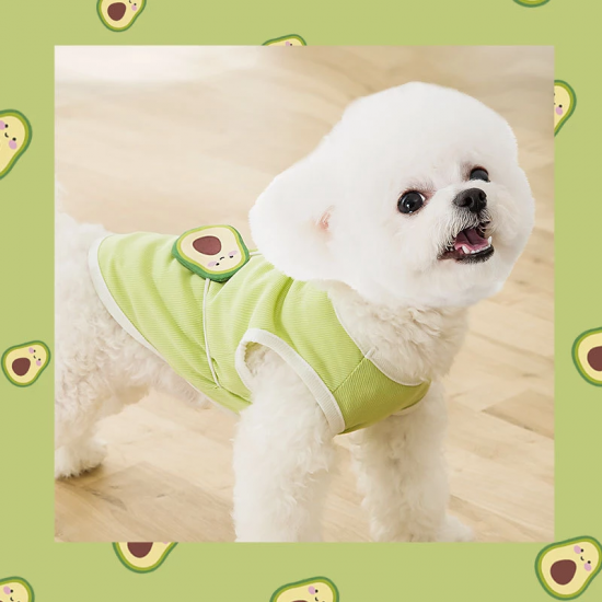Arbozew 3 Pieces Dog Shirts Striped Dog T-Shirts Puppy Pet Apparel for Small animals